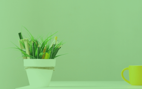 Excel VBA - Advanced Filtering Tutorial