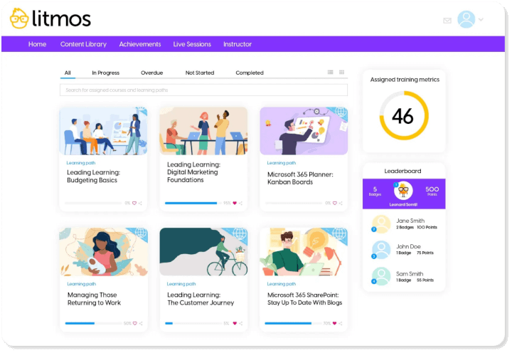 Litmos LMS interface