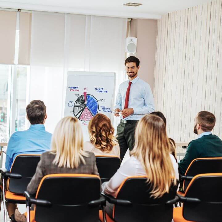 GoSkills project budget