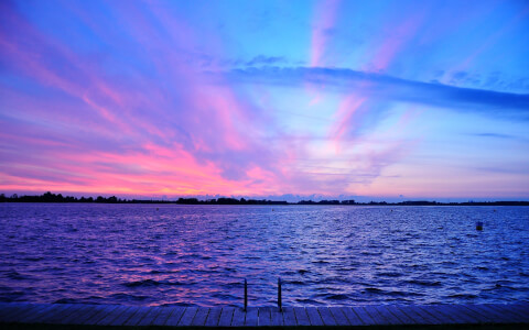 50+ Motivational Quotes For Students Who Need Inspiration