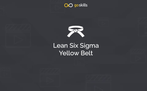 Lean Six Sigma Yellow Belt 