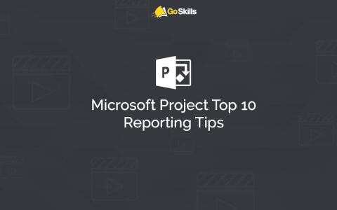 Microsoft Project Top 10 Reporting Tips